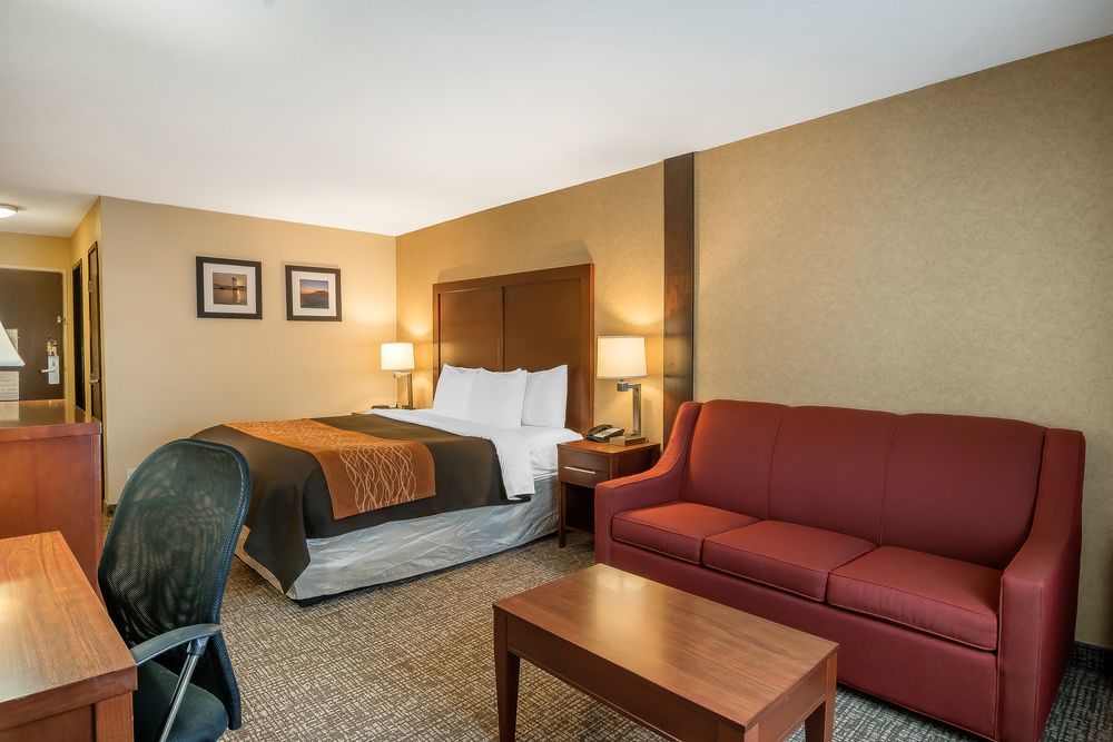 Comfort Inn & Suites Vancouver Downtown City Center מראה חיצוני תמונה